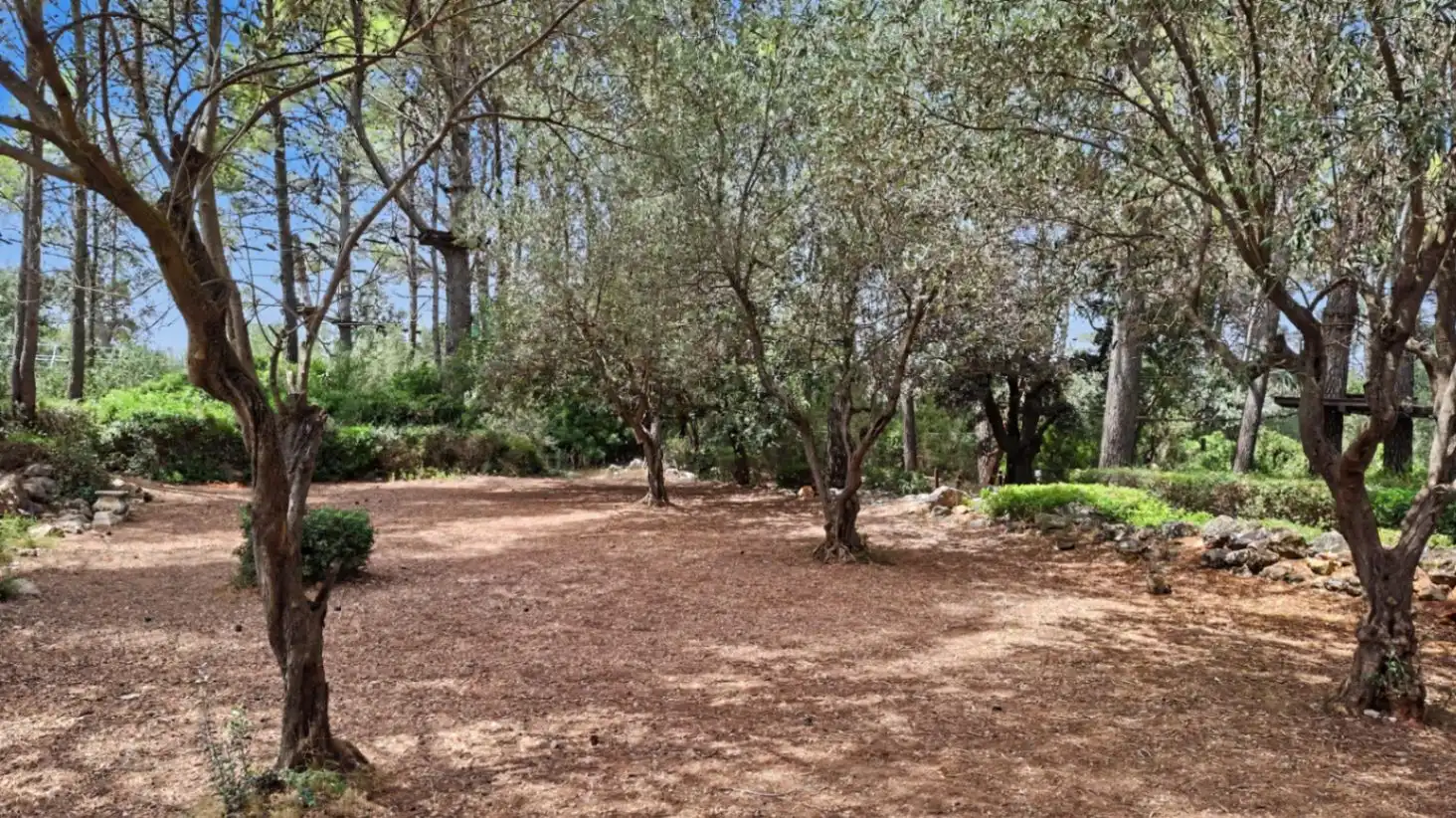 Country homes for sale in Parcent