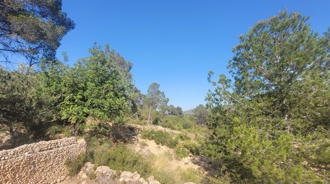 Foto 3 de Casa o xalet en venda a Macastre, Valencia