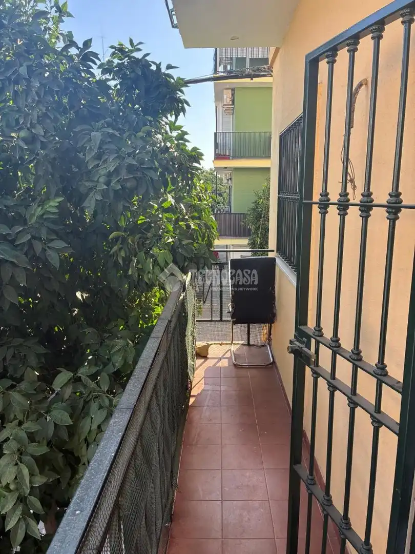 Pis amb terrassa de lloguer a Cerro - Amate, imagen 17
