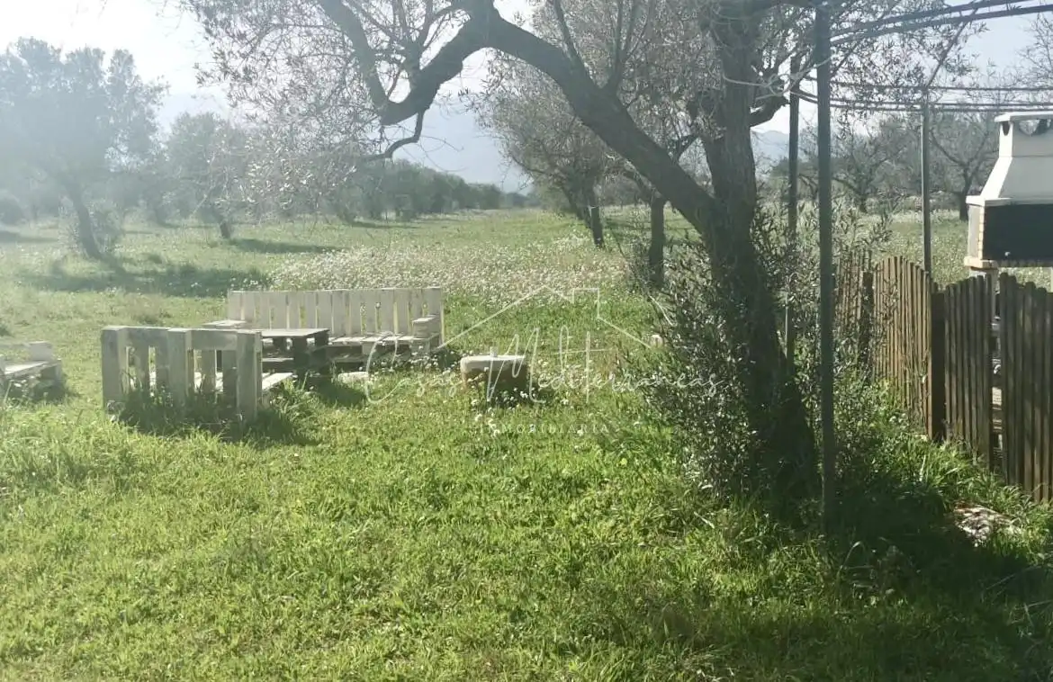 Rural land for sale in Tivissa, imagen 4