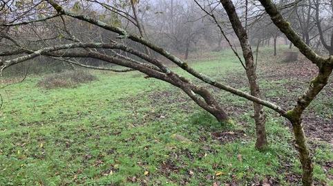 Photo 3 of Residential for sale in Parres, Asturias