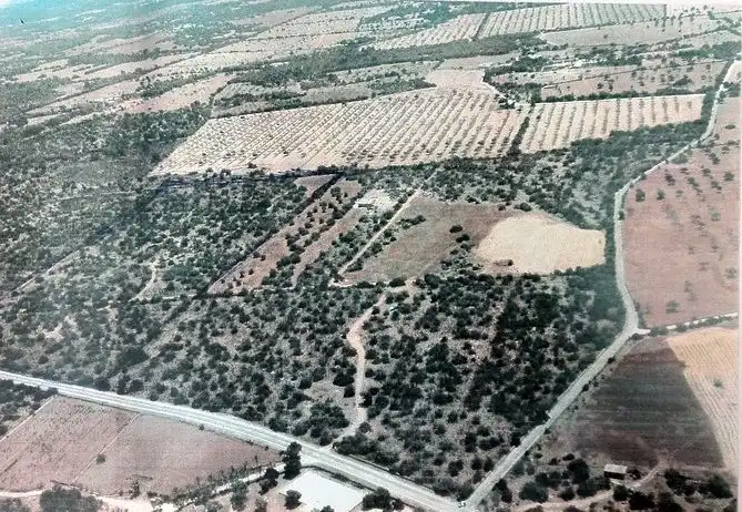 Terreno rustico in vendita a Ma-6014 Km 24, imagen 8