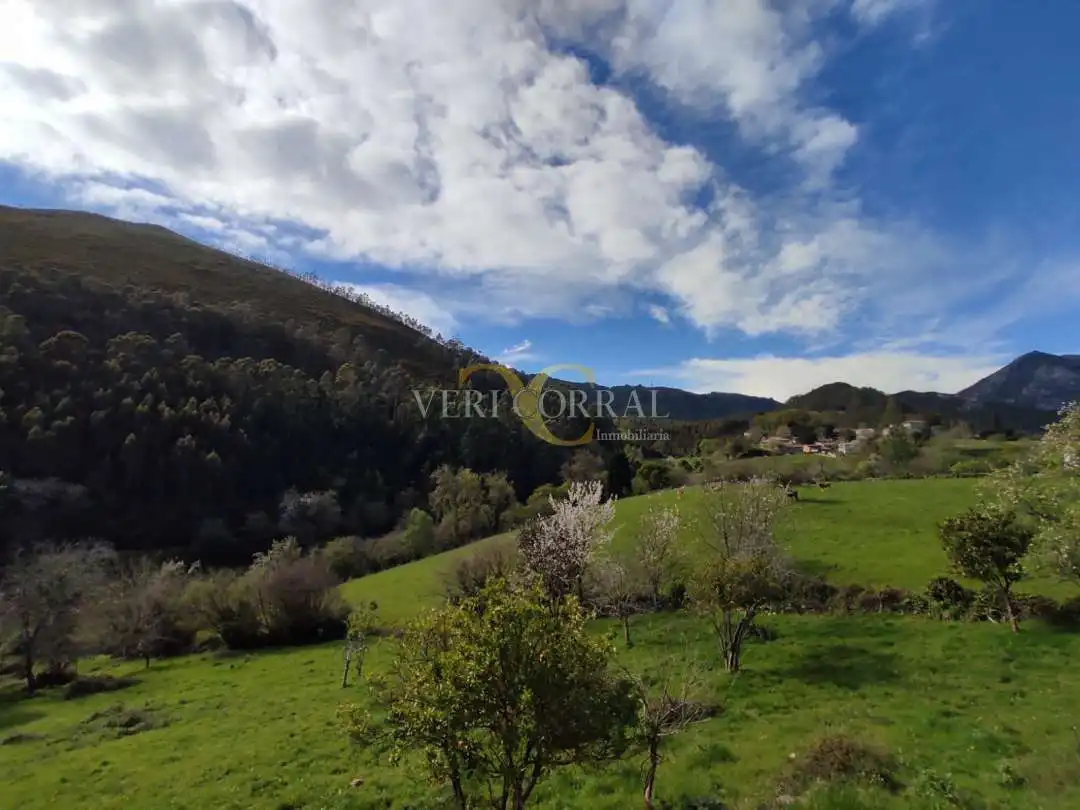 Houses for sale in Caravia, Caravia