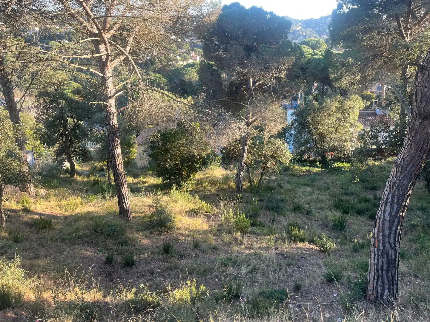 Terreny residencial en venda a Aiguaviva Parc