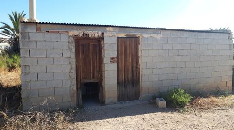 Foto 3 de Finca rústica en venta en Crevillent, Alicante