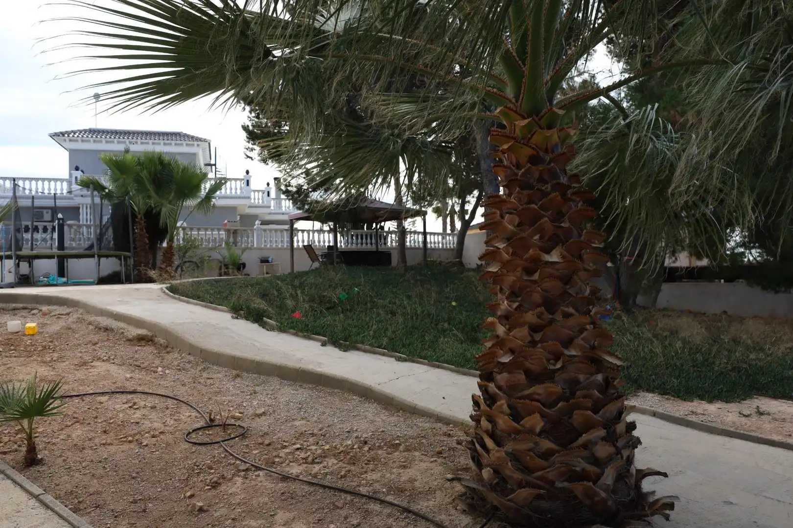 Jardí de Casa o xalet en venda en Rojales amb Piscina