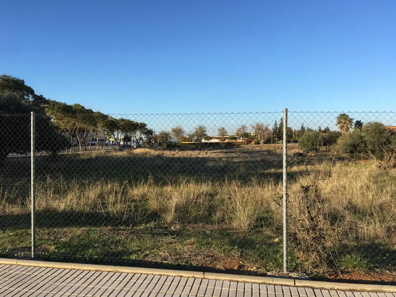 Lands and plots for sale in Poeta Muñoz Rojas, imagen 19