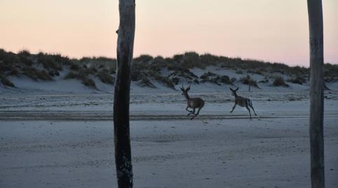 Photo 3 of Residential for sale in Coto, Almonte