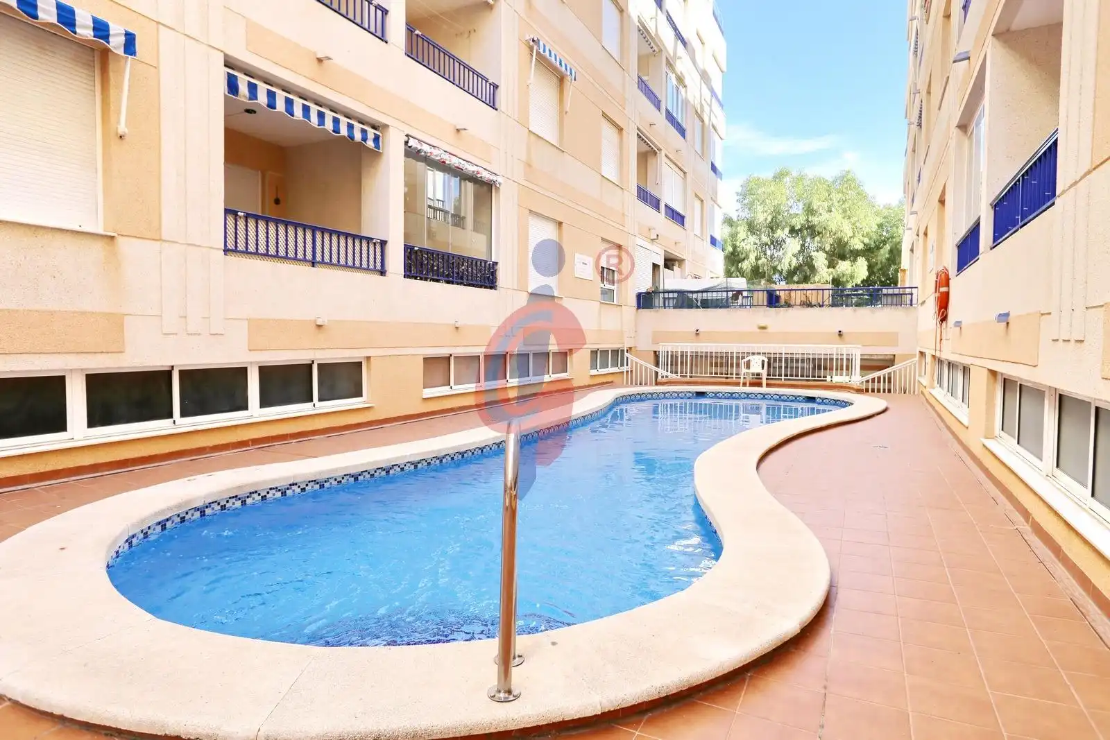 Piscina de Apartamento en venta en Guardamar del Segura con Terraza, Amueblado y Piscina comunitaria