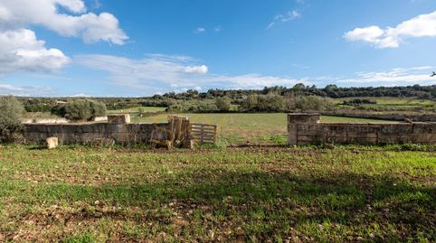 Foto 5 de Terreno en venta en Carrer Unió, Ariany, Illes Balears