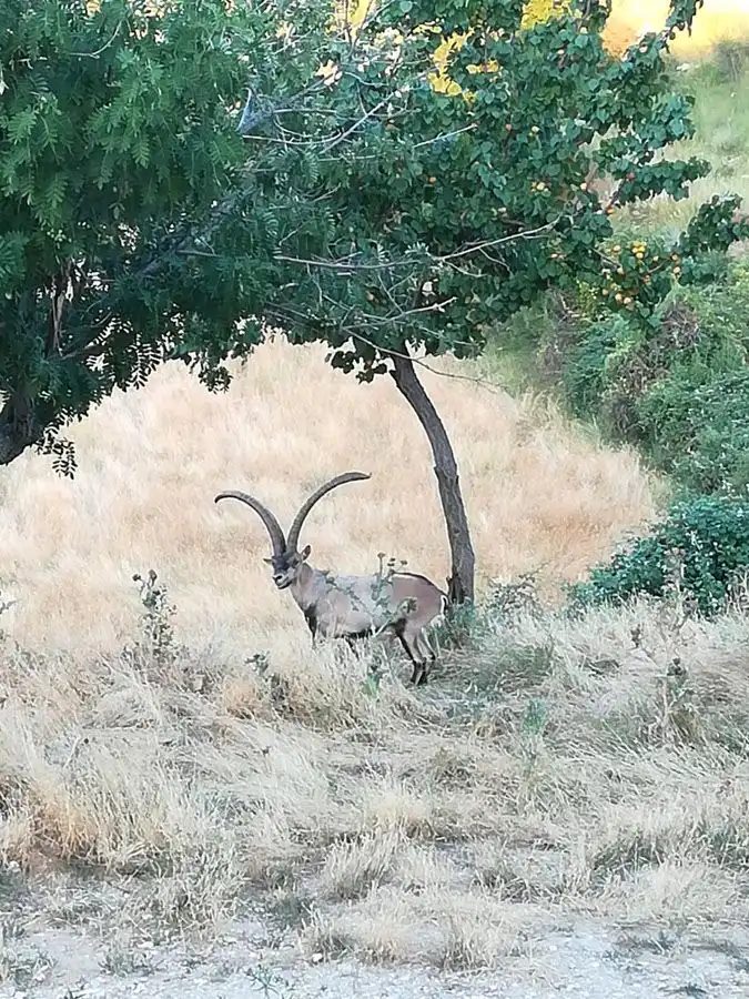 Außenansicht von Grundstücke zum Verkauf in Teruel