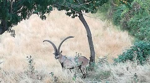 Photo 4 of Land for sale in Centro, Teruel