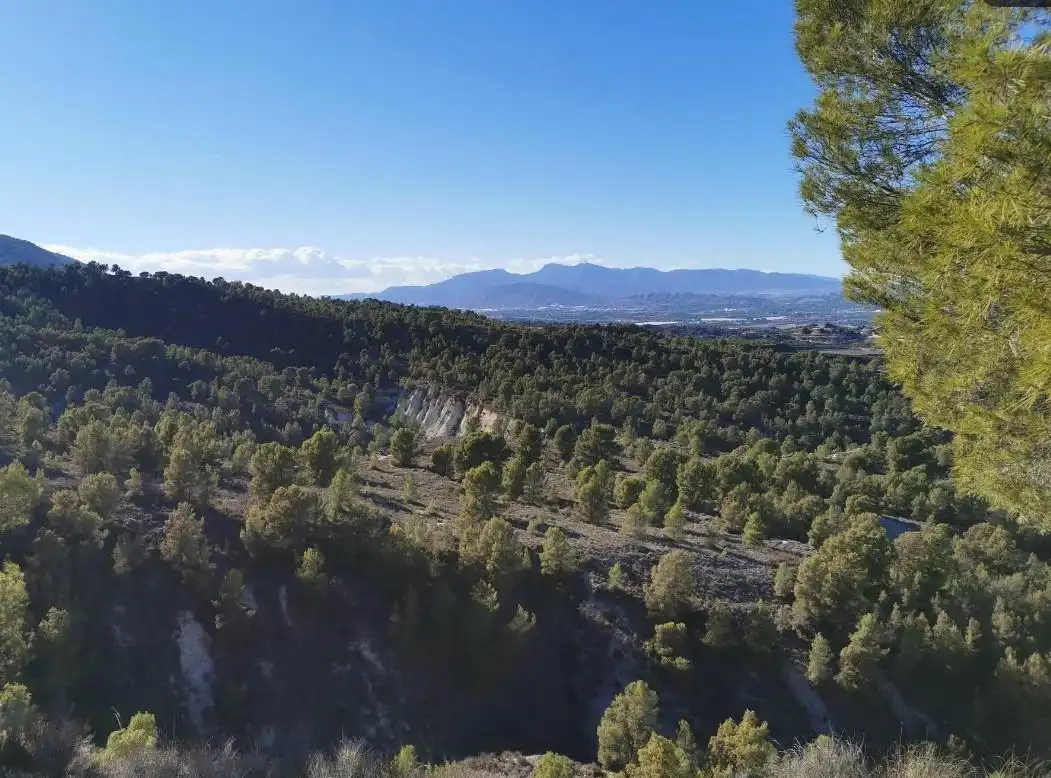 Casa o chalet en venta en Murcia con Piscina comunitaria
