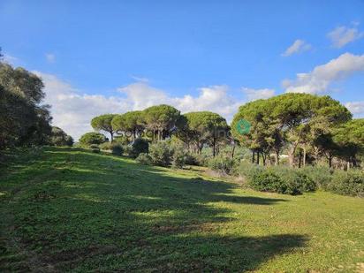 Country house for sale in San Roque