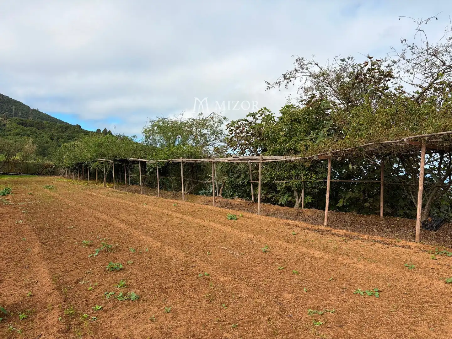 Rural land for sale in el rodeo, imagen 23