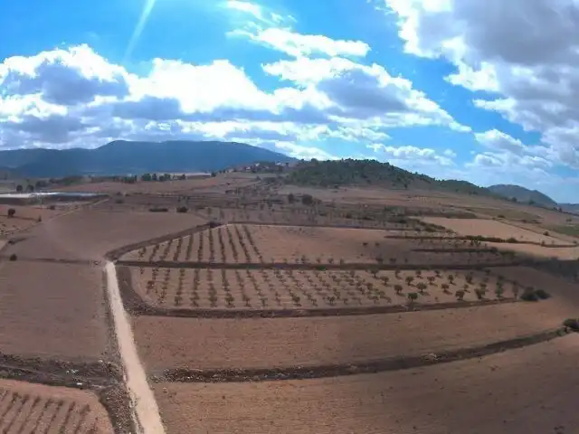 Terreni e lotti in vendita a Yecla, imagen 7
