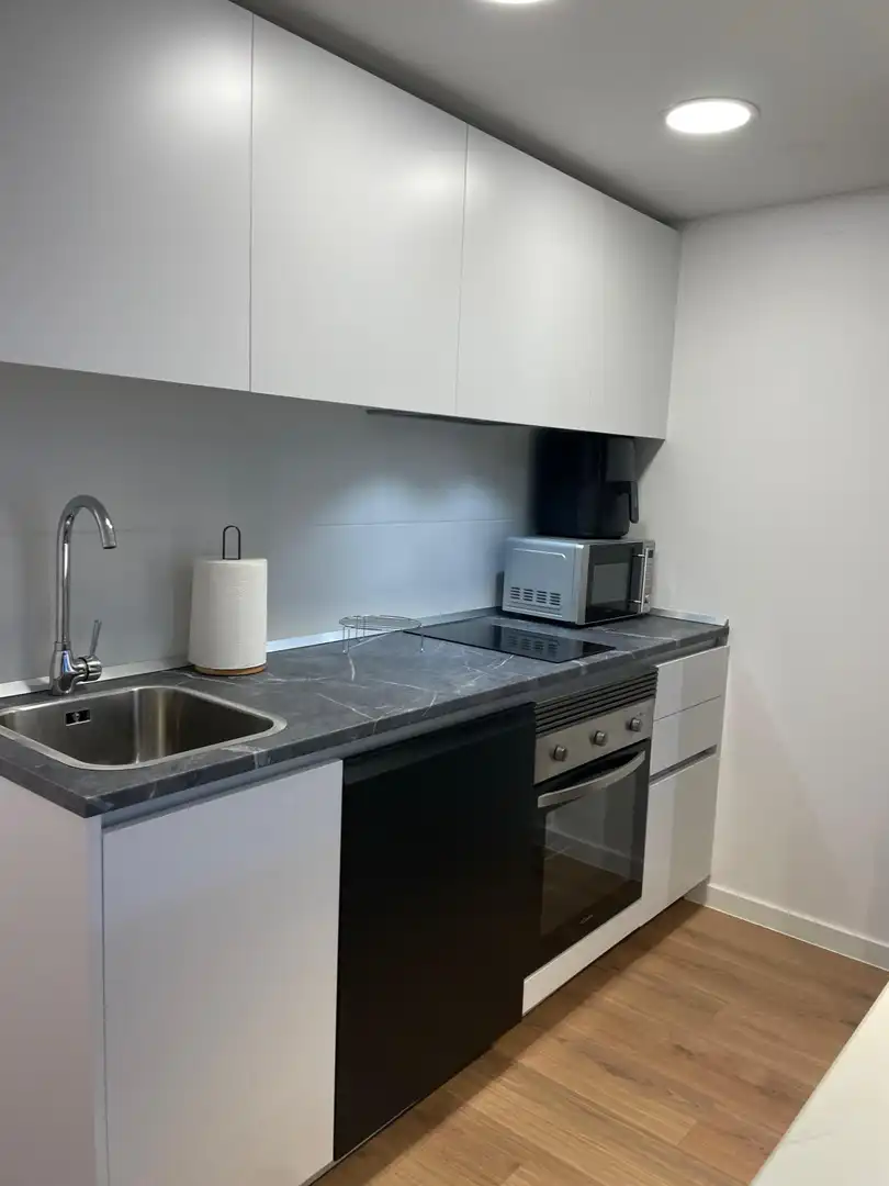 Kitchen of Lofts for rent in San Sebastián de los Reyes  with Air Conditioner, Heating and Private garden