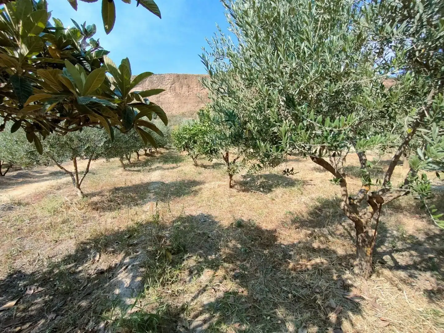 Grundstücke und Bauplätze zum Verkauf in Ugíjar, imagen 11