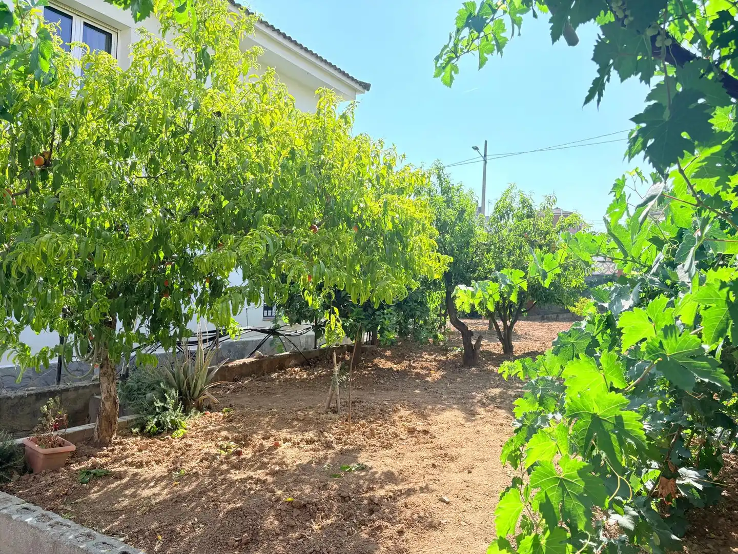 Villa zum Verkauf in Carrer Collserola, imagen 28