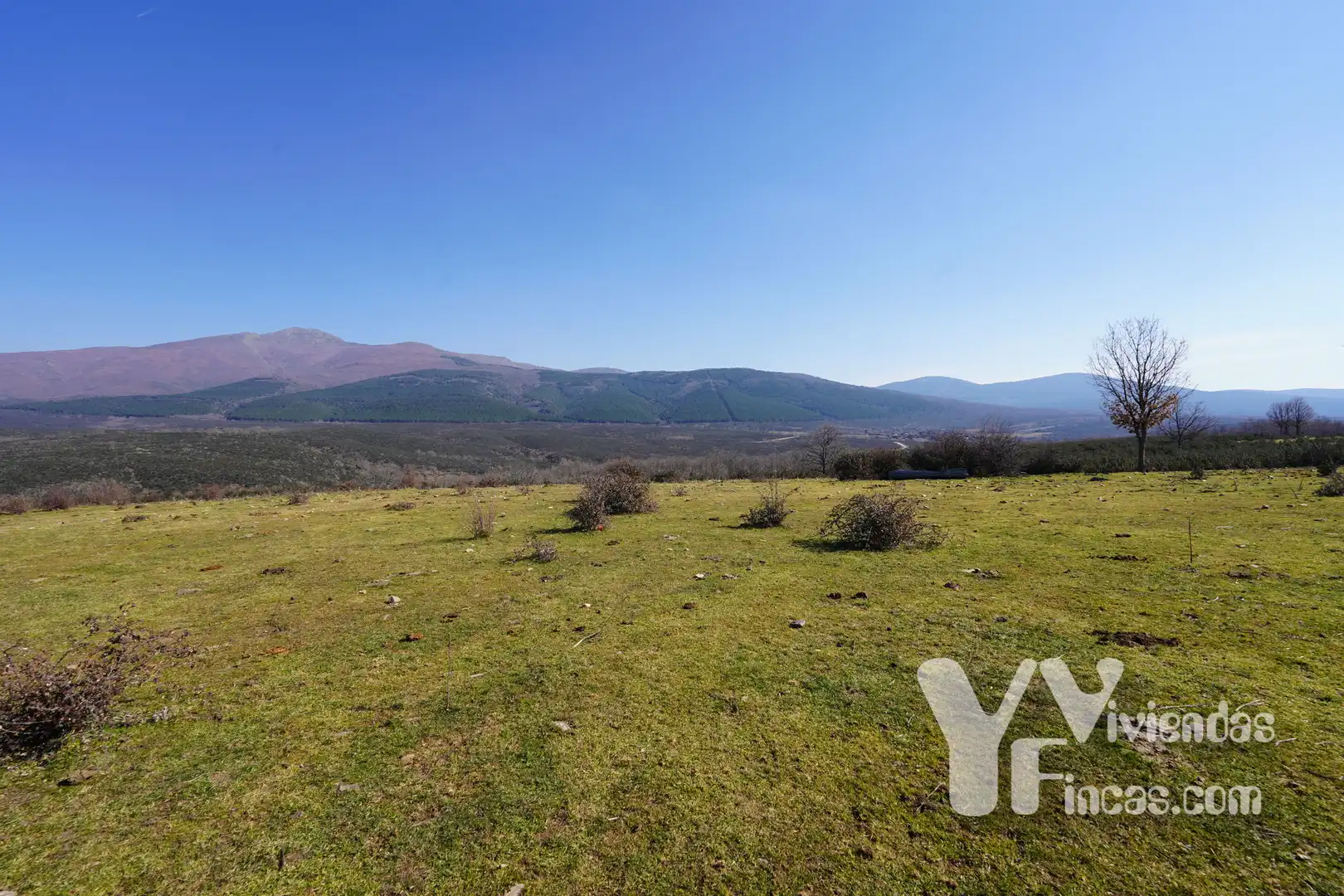 Terreno rústico en venta en Campillo de Ranas