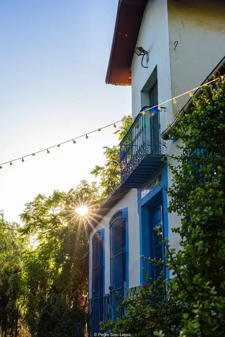 Casa o chalet en venta en Santa Ana