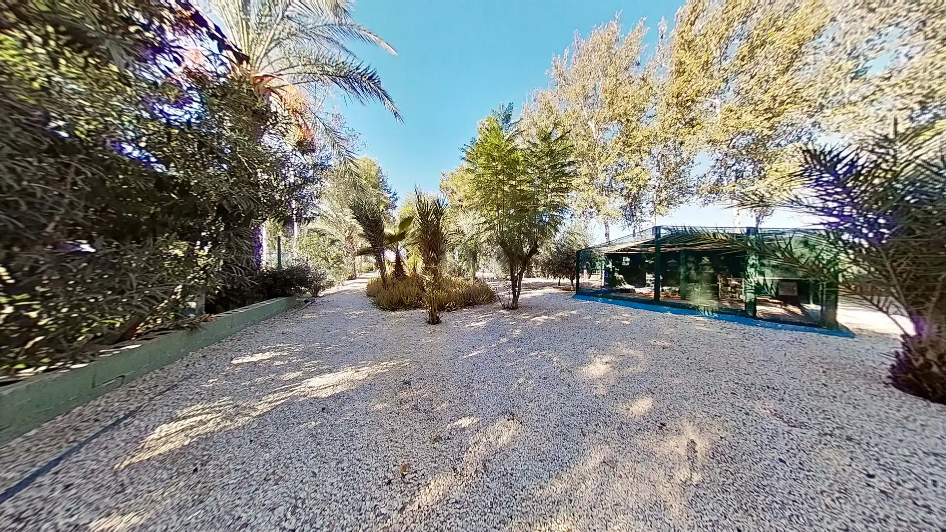 Jardí de Casa o xalet en venda en Crevillent amb Aire condicionat, Calefacció i Terrassa