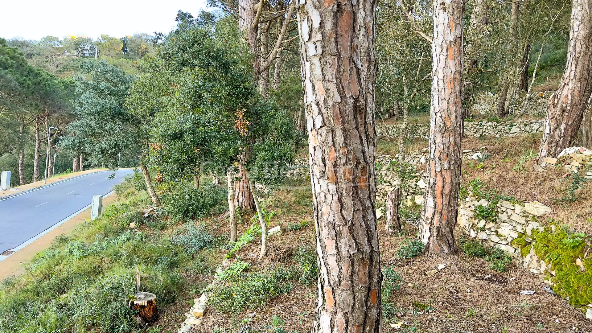 Terrenos y solares en venta en Carrer de Son Rich, imagen 15