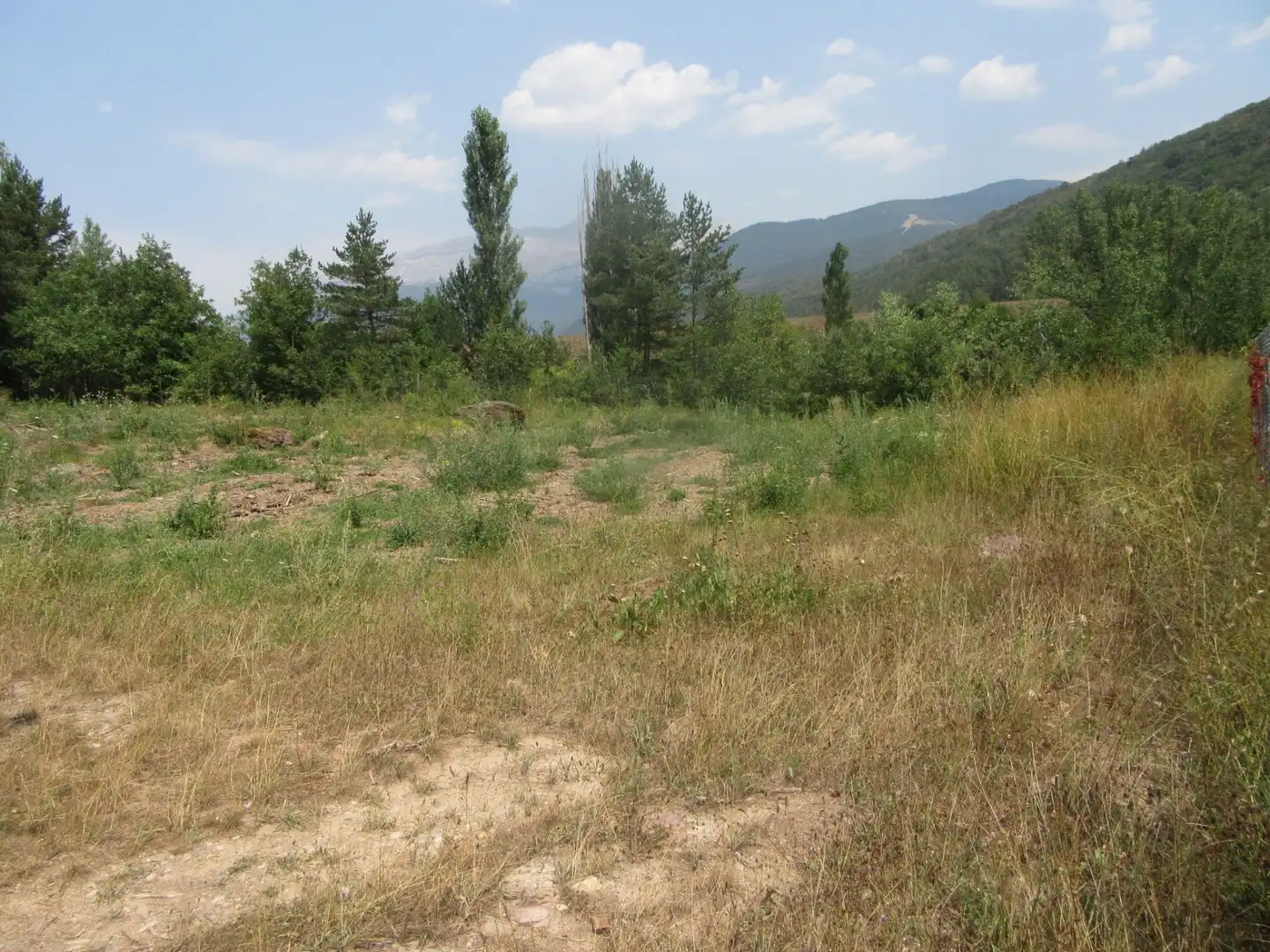 Terreni e lotti in vendita a Molino de Aratores, imagen 2