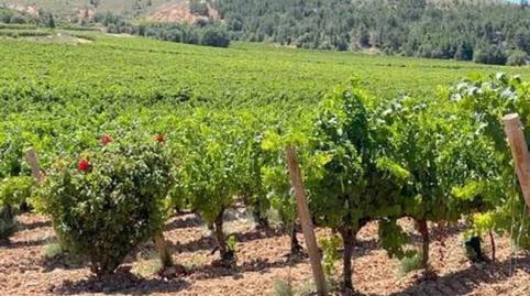 Photo 5 of House or chalet for sale in Calle Calle la Gloria, S/n, Centro, Aranda de Duero