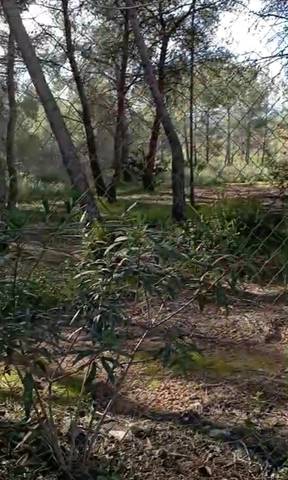 Terreno en Venta en El Vedat - Santa Apolonia