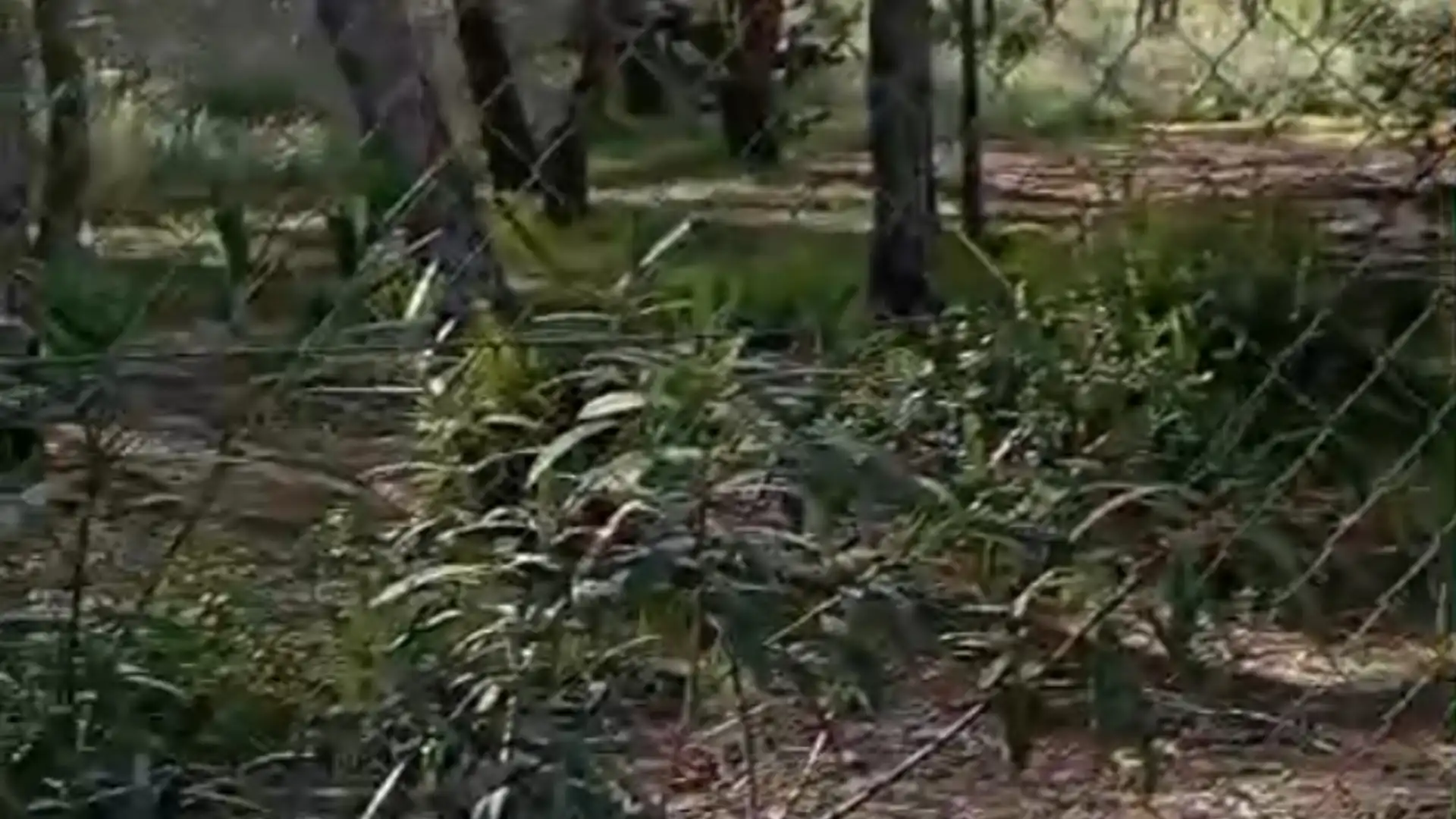 Terreno en venta en Torrent