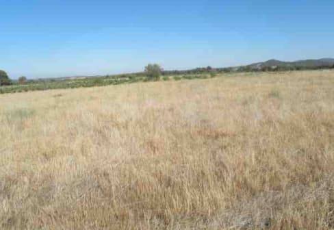 Terreno en Venta en Lugar Cm Paridera en Talayuelas