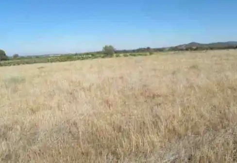 Terreny rústic en venda a Lugar Cm Paridera