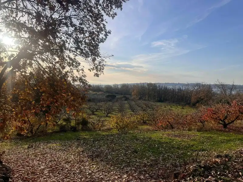 Casa o chalet en venta en Cuacos de Yuste con Piscina