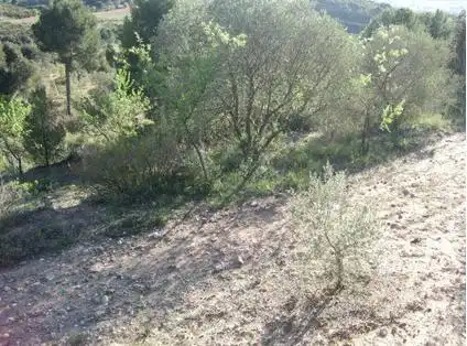 Lands and plots for sale in Lugar Can Segarra, imagen 10