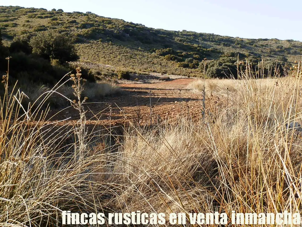 Terreno rustico in vendita a Ruidera, imagen 13