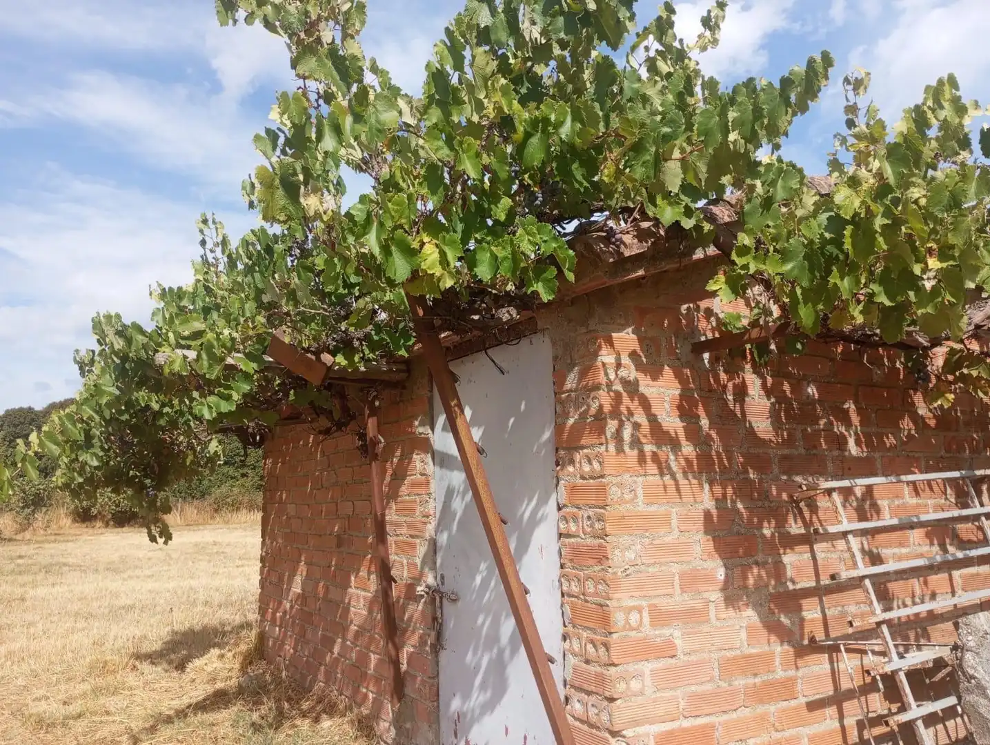 Terreny rústic en venda a Arenas de San Pedro, imagen 8