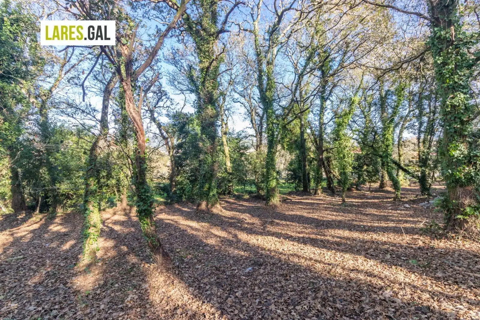 Lands and plots for sale in Rúa Ximeu, imagen 5