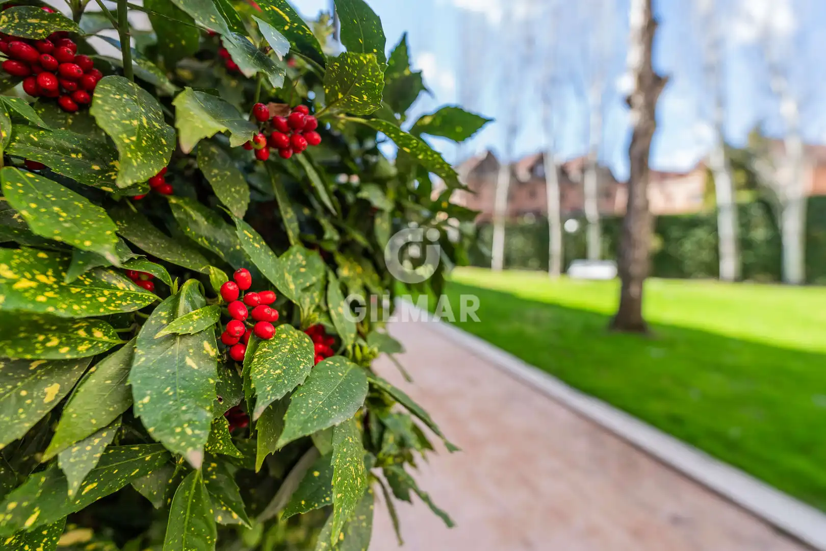 Garden of Flat for sale in Madrid  with Heating, Private garden and Swimming Pool