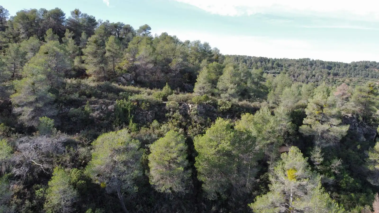 Terreno rustico in vendita a Cervià de Les Garrigues, imagen 27
