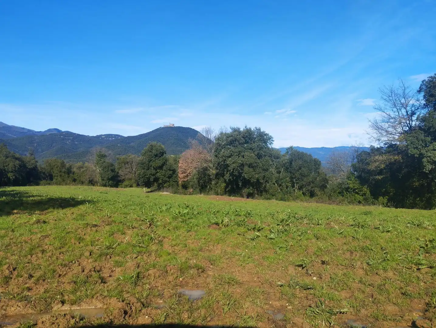 Finca rústica en venta en Massanes