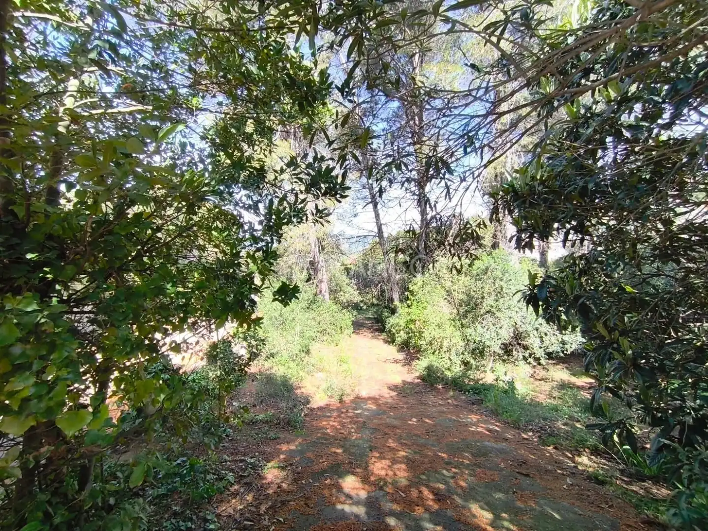 Casa o chalet en venta en Piera con Jardín privado, Balcón y Alarma
