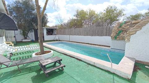 Foto 2 de Finca rústica en venda a Villamartín, Cádiz