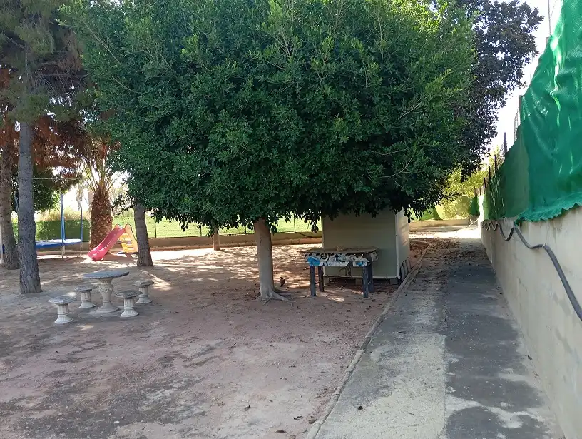 Casa o xalet en venda en Elche / Elx amb Aire condicionat, Jardí privat i Terrassa