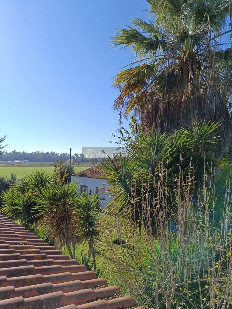Flat for sale in Torremayor