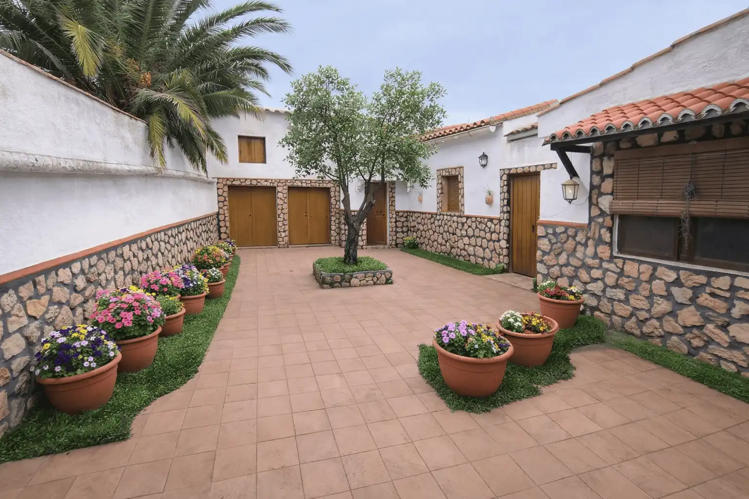 Jardín de Casa o chalet en venta en Sisante
