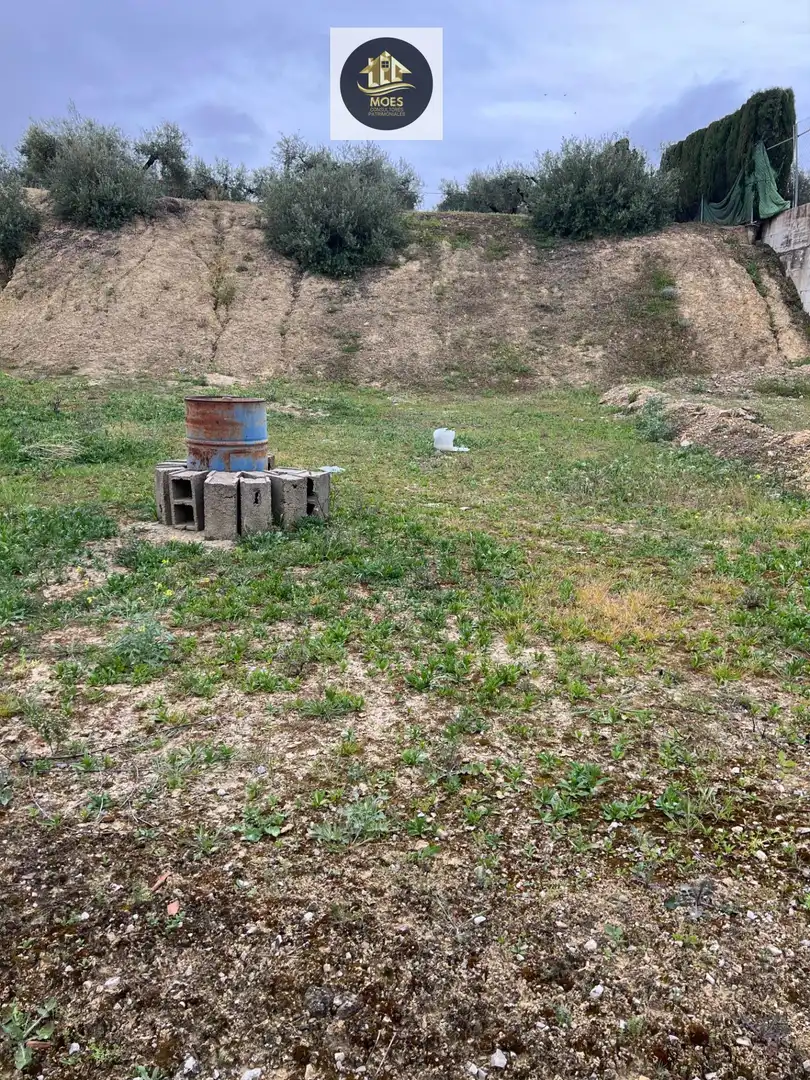 Terreni e lotti in vendita a Torredonjimeno