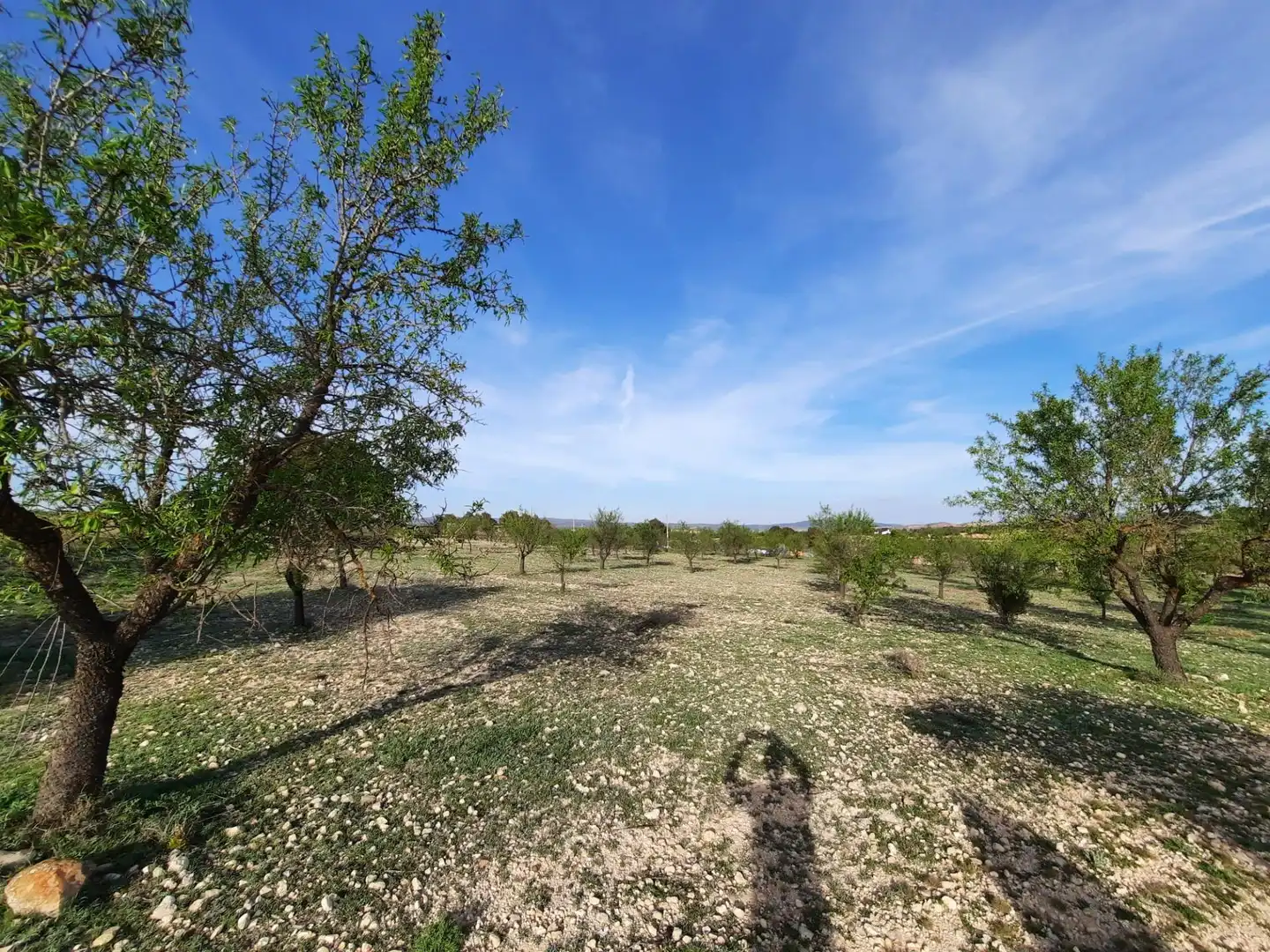 Rustikales Grundstück zum Verkauf in Almansa, imagen 3