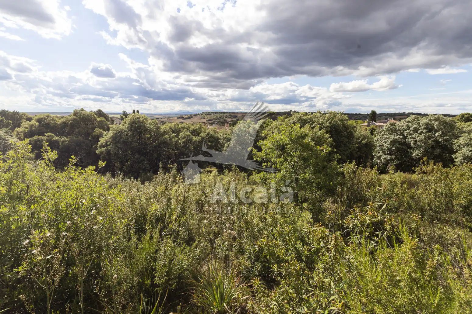 Terreno residencial en venta en Valdeaveruelo, imagen 25