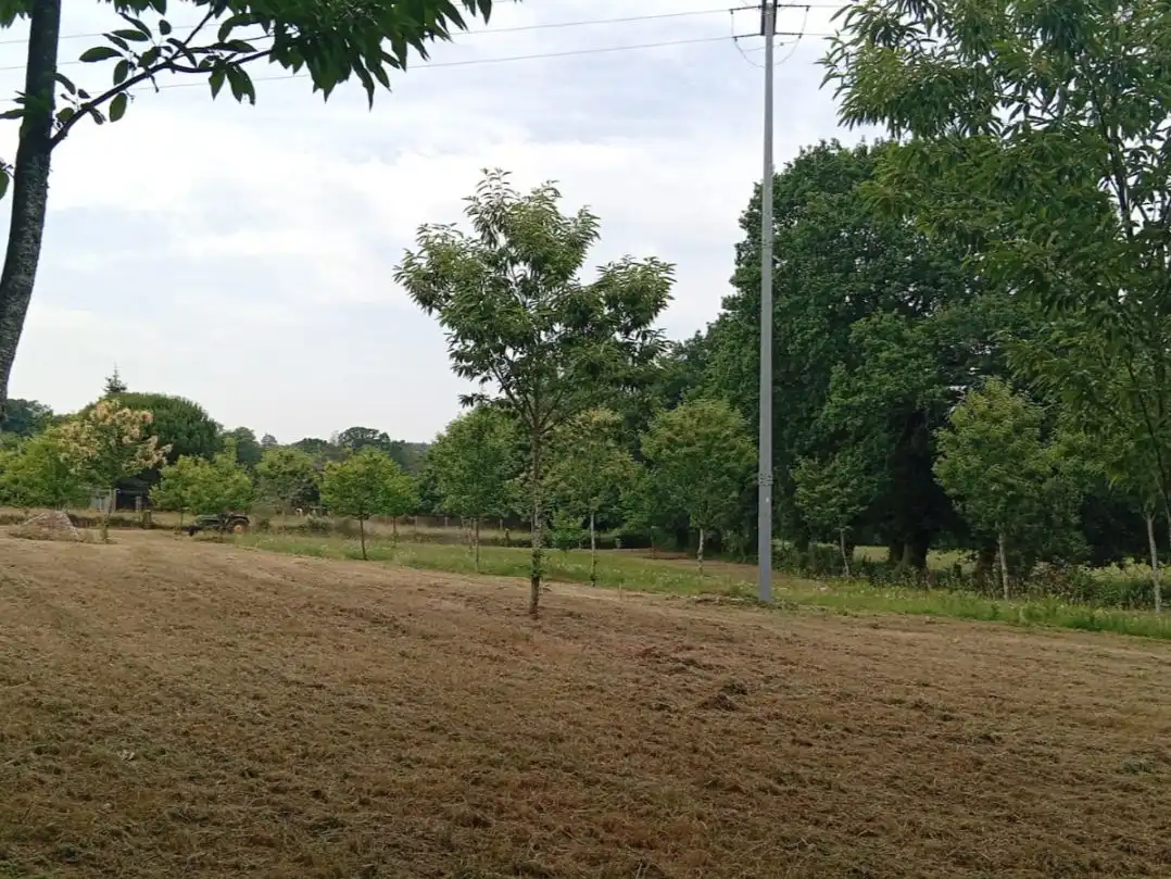 Residential for sale in Curtis